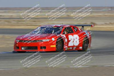 media/Nov-11-2023-GTA Finals Buttonwillow (Sat) [[117180e161]]/Group 1/Close Ups/